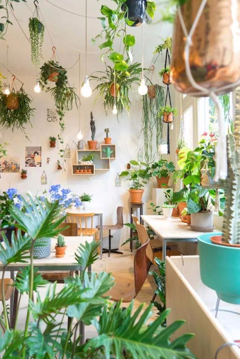 1573102839265118.jpg 6.jpg